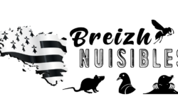 breizh nuisibles logo rennes