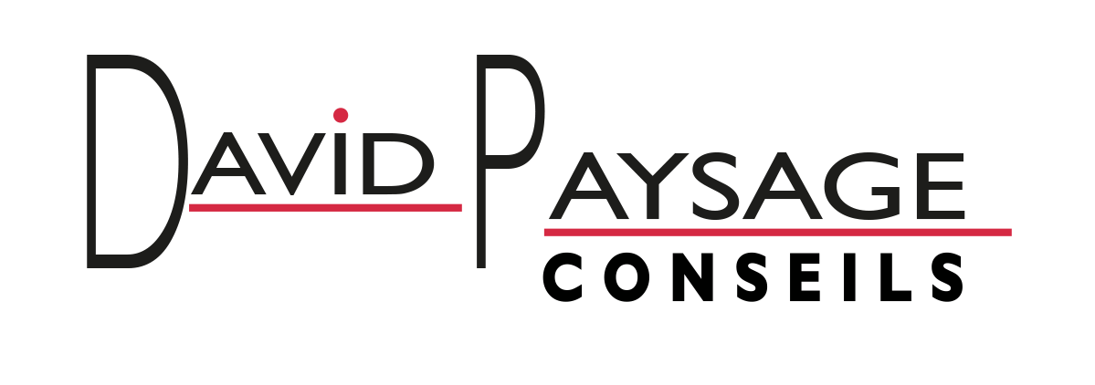 david paysage logo